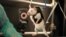 A paralyzed rat learns to walk again after being injected with chemicals designed to stimulate its spinal nerve cells, which communicate with the brain.