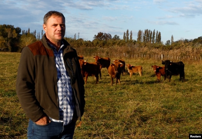 Virgile Alexandre, president of the French fighting bulls breeders association, poses in his breeding farm near Arles, France, November 20, 2022. (REUTERS/Eric Gaillard)