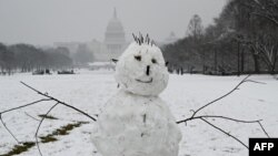 Un muñeco de nieve es visto en el National Mall en Washington, D.C. no muy lejos del Capitolio el domingo, 31 de enero de 2021.