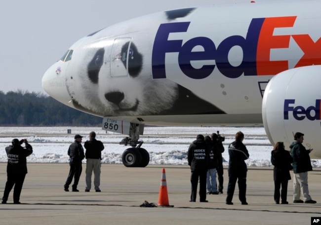 FILE - People watch as the plane carrying giant pandas Mei Lan of Atlanta, and Tai Shan of Washington, leave for China, Feb. 4, 2010, in Chantilly, Va. (AP Photo/Susan Walsh, File)