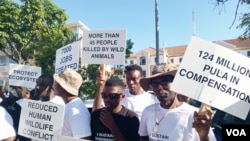 Communities living in wildlife areas protest in front of the British High Commission in Gaborone, March 12, 2025. (Mqondisi Dube for VOA)