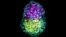 Synthetic embryo-like structure made of three stem cells types in yellow, pink and green. (Credit: Zernicka-Goetz lab, University of Cambridge)