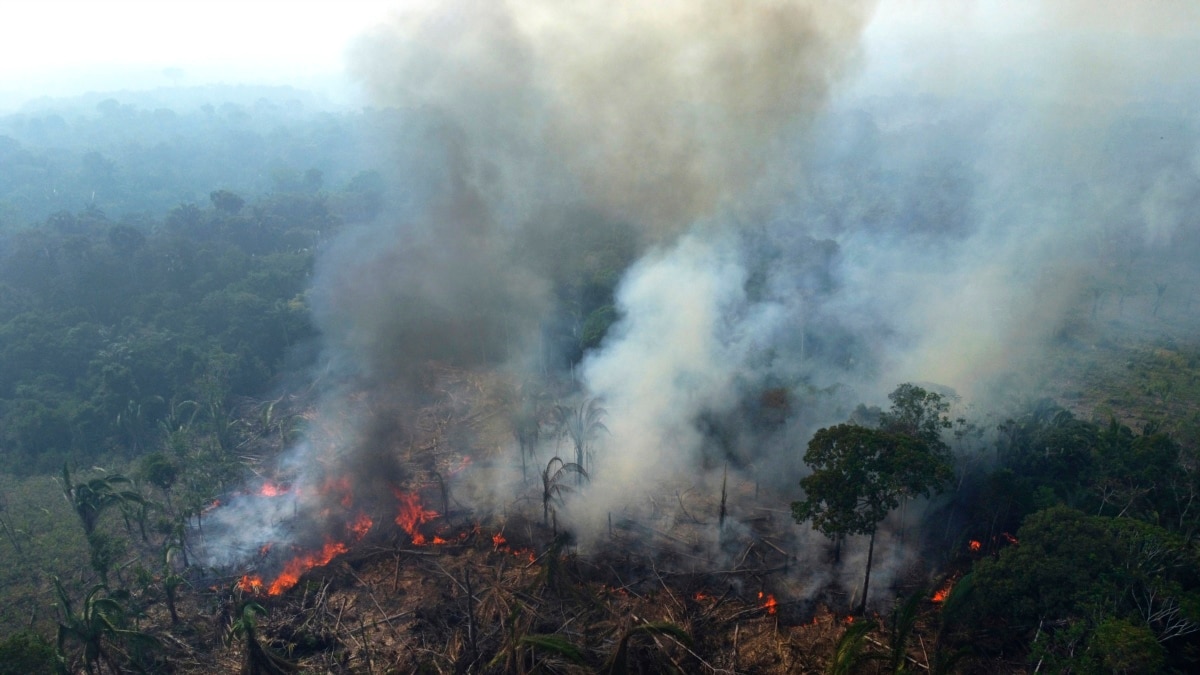 Quiz - How Gardeners Can Reduce Risk of Fire