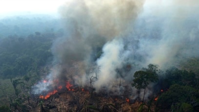 Quiz - How Gardeners Can Reduce Risk of Fire