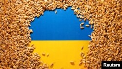 Обмеження на ввіз українського збіжжя до ЄС збігли 15 вересня 2023 року. (Фото: REUTERS/Dado Ruvic/Illustration/File Photo)