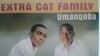 Iqembu leExtra Cat Family