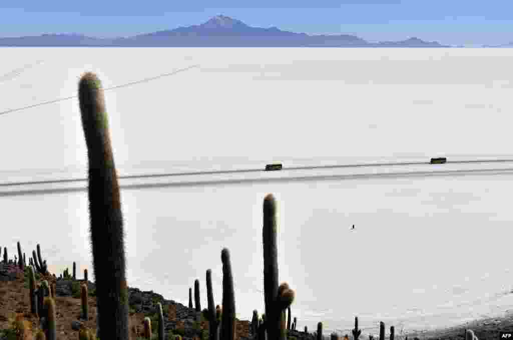Buses drive through the Salar de Uyuni, the world's largest salt flat, in the Altiplano in southwestern Bolivia.