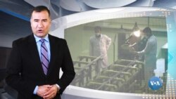 Xalqaro hayot - 7-noyabr, 2019-yil