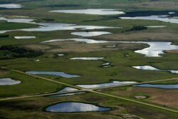 FILE - Prairie potholes dot the landscape in east central North Dakota, June 20, 2019.