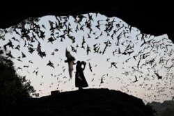 FILE - A woman makes noise as she directs the bats away from power tower in Hpa-An, Karen State, Myanmar.