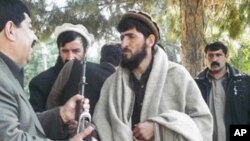ګل آغا شیرزی: پولیس له قاچاقبرو سره مرسته کوي