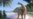 Rare Dinosaur Discovery in Egypt Could Signal More Finds