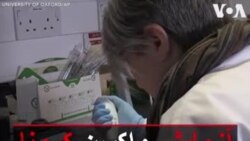 آزمایش واکسن کرونا روی انسان در دانشگاه آکسفورد