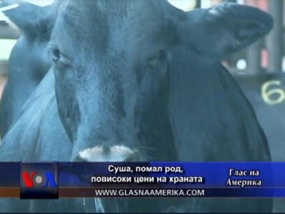 Суша, помал род, повисоки цени на храната