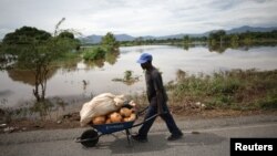 A man pushes a wheelbarrow along a flooded area after Hurricane Irma in Fort Liberte, Haiti, Sept. 8, 2017. 