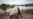 UN: Floods Leave Haitian Farmers Struggling in Irma's Wake