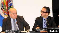 Insulza dijo que la OEA pone a disposición de los estados herramientas para implementar planes de acción nacionales, proyecto al que se acogieron exitosamente 17 países. [Foto: OEA]