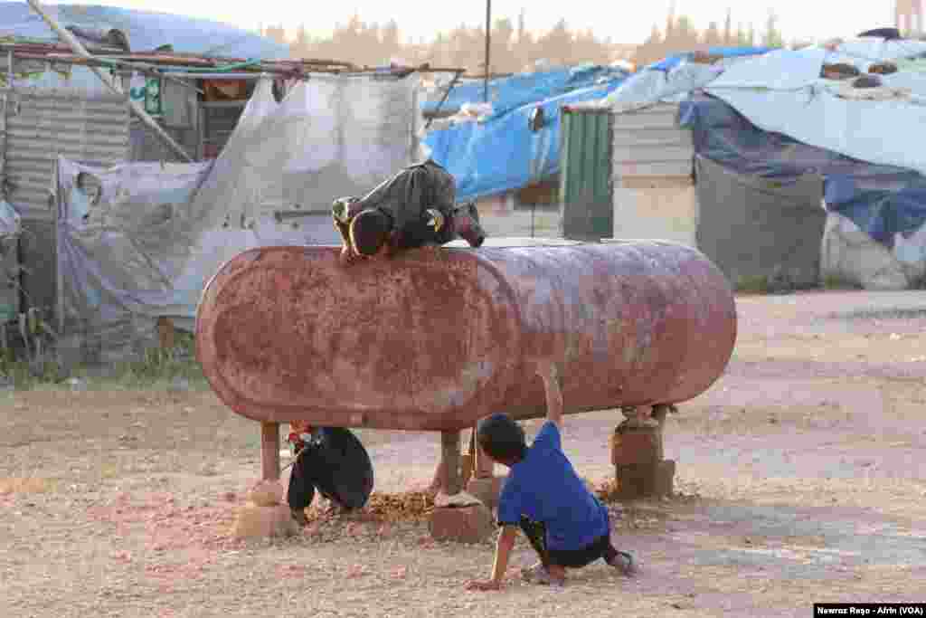 Rewşa nebaş ya Zarokên Efrînî yên li penageha Şehba dimînin