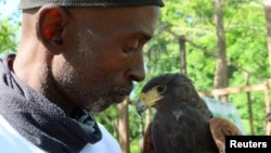 Rodney Stotts holds a Harris Hawk named Petunia, in Laurel, Maryland, U.S., May 10, 2022. (REUTERS/Kevin Fogarty)