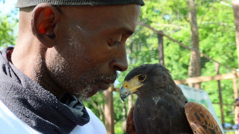 A Life of Poverty, Drugs Reborn with Nature, Birds