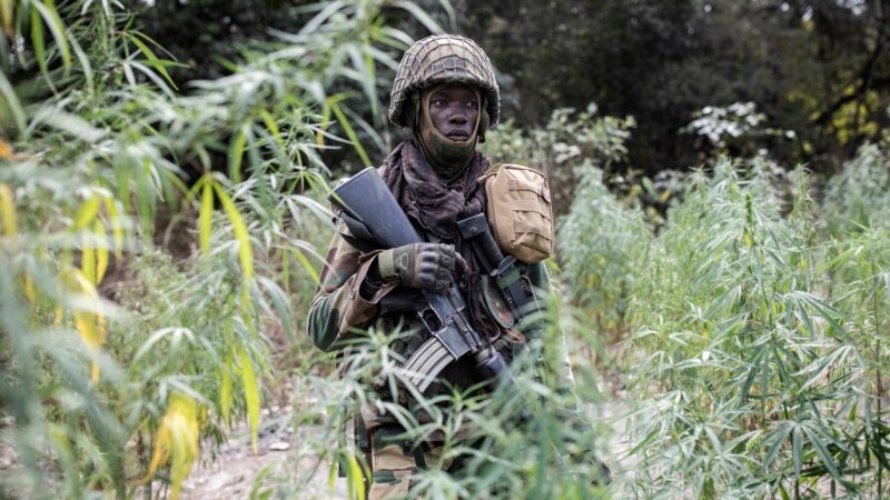 Quatre soldats sénégalais tués dans l'explosion d'une mine en Casamance