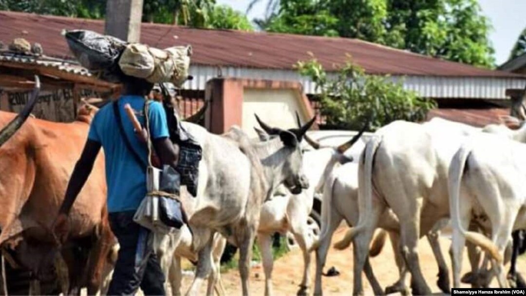 Fulani