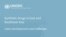 2022 UNODC Report in Drug (UNODC)