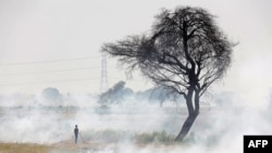 A worker burns stubble after harvesting pulse crop in a field at Hoshangabad district of India's Madhya Pradesh state on June 12, 2022.