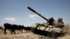 FILE - Cows walk past a tank damaged in fighting between Ethiopian government and Tigray forces, near the town of Humera, Ethiopia, March 3, 2021.