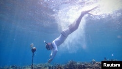 A researcher deploys a hydrophone, which helps to record underwater soundscape for a pilot project using artificial intelligence system to identify reef health, June 24, 2019. 