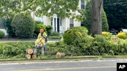 This May 2022 photo provided by Jessica Damiano shows a professional tree crew in Glen Head, N.Y., safely removing and disposing of tree branches, as should be done in the wake of damaging storms. (Jessica Damiano via AP)