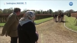 İngiltere Kraliçesi Sandringham'da Atlarını Besledi