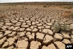 Tanah retak yang dulunya adalah Danau Hamrin di Provinsi Diyala, Irak. (Foto: AFP)