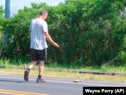 Volpe shoos a turtle off a roadway in New Jersey, June 8, 2022. To "shoo" means to drive away an animal often by saying "shoo." (AP Photo/Wayne Parry)