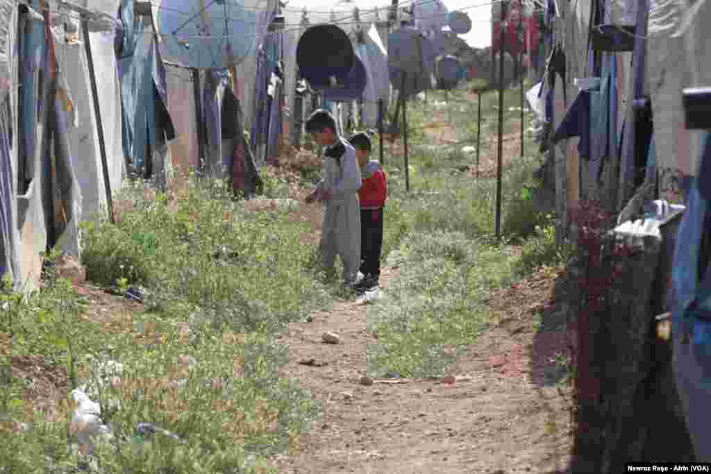 Rewşa nebaş ya Zarokên Efrînî yên li penageha Şehba dimînin