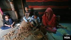 Rohingya refugee Monuara Begum, peels walnuts along with her four children, April 12, 2022. To earn a livelihood for the family, Monuara and her children peel walnut for a trader. Monuara’s husband Mohammad Ismail was arrested by Indian police recently. (Mir Imran/VOA)