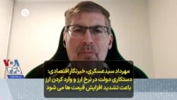 مهرداد سیدعسگری، خبرنگار اقتصادی: دستکاری دولت در نرخ ارز و وارد کردن ارز باعث تشدید افزایش قیمت ها می شود