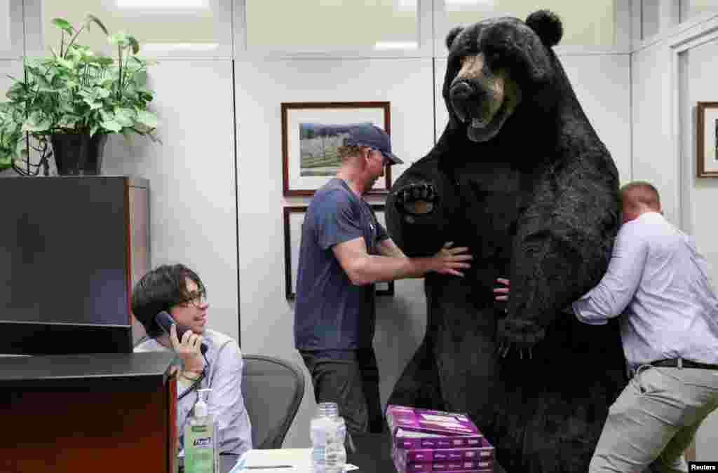 Jon Greene, defense advisor to Senator Jeanne Shaheen (D-NH), carries Kodak, the bear, to decorate the Senator&#39;s office on Capitol Hill in Washington, to raise awareness about New Hampshire, June 7, 2022.