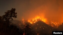 Kebakaran hutan di Wrightwood, California pada saat musim panas tahun lalu, 12 Juni 2022 (foto: dok). Wilayah negara bagian California merupakan salah satu wilayah di mana satwa-satwa paling terancam kepunahan. 
