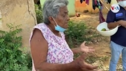 Carmen Castillo, venezolana que regala sus mangos a vecinos y desconocidos