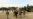 US Quietly Reduces Troop Force in Afghanistan by 2,000