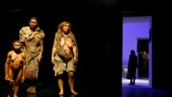 Science in a Minute: Neanderthals Could Hear and Speak Like Modern Humans