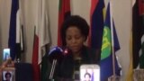 SADC Yoita Musangano Wechimbi Chimbi kuBotswana Wekuzeya Zviri Kuitika muZimbabwe