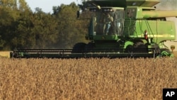 This farmer harvests soybeans using farming equipment in the U.S. state of Illinois. (AP Photo/Seth Perlman)