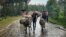 FILE - Villagers leave their homes in the rain, carrying their belongings on donkeys, near the village of Chenna Teklehaymanot, in the Amhara region of northern Ethiopia, on Sept. 9, 2021. 