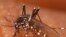 WHO Stands by Its Numbers on Malaria Deaths
