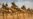 G5 Sahel Launches Military Operation in African Scrublands