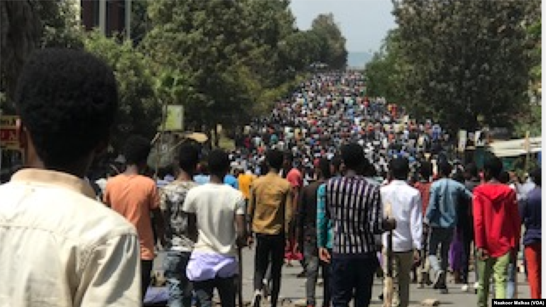 ኣምቦ