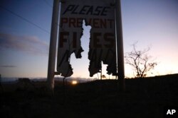 A car drives by a burnt roadside sign that says, "Please Prevent Fires, Mahalo," Aug. 5, 2021, in Waimea, Hawaii.