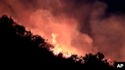 A forest fire burns out of control in Valparaiso, Chile, March 14, 2015.